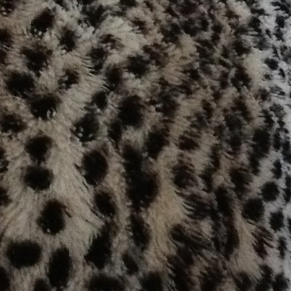 Profile Picture of Rachel Labarga (@renee88) on Poshmark