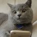 Profile Picture of Joon Hur (@pumpitupusa) on Pinterest