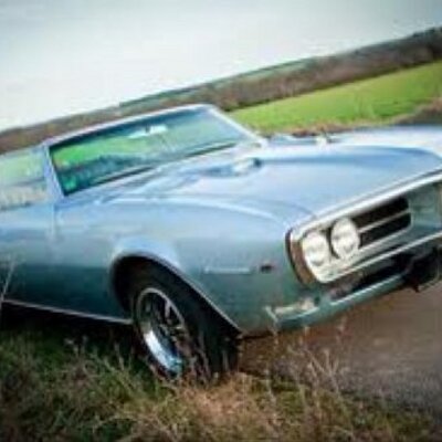 Profile Picture of Paul Mercurio (@greatdane13380) on Twitter