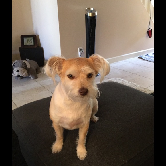 Profile Picture of Cm Jolly (@yioyiagrs) on Poshmark