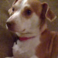 Profile Picture of Andrew Hursey (@andrew-hursey-3) on Quora