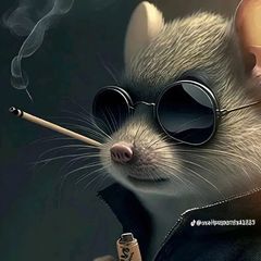 Profile Picture of Victor Forero (@victorforero788) on Tiktok