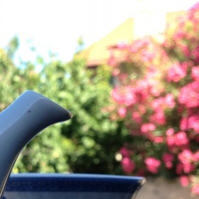 Profile Picture of An Xi Qiu Xian (@AnXiQiuXian) on Twitter