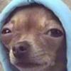 Profile Picture of Jeremy (@@jeremy.faulkner) on Tiktok