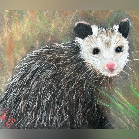 Profile Picture of Roxanna Sanderlin (@rsanderlin) on Poshmark