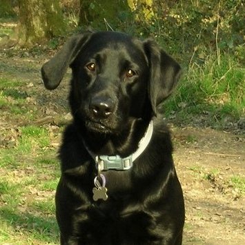 Profile Picture of Alli Turner (@Alli22_Sam) on Twitter