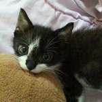 Profile Picture of YanFei Liu (@vul3zo3) on Instagram