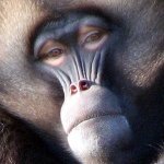 Profile Picture of Erik_Tanner (@erik_rid3r) on Instagram