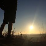 Profile Picture of robert travis (@islandmonkey636) on Instagram