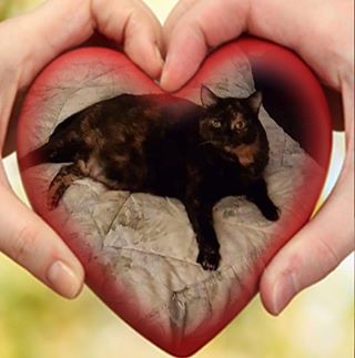 Profile Picture of José Ureta (@jose.ureta.353) on Facebook