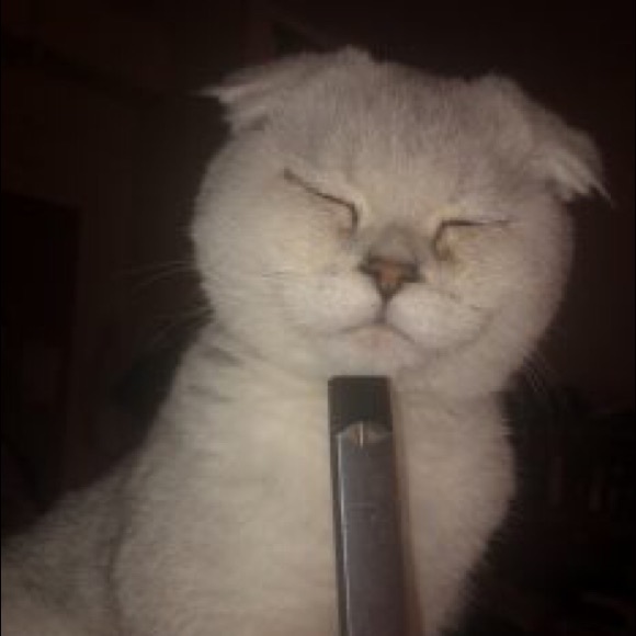 Profile Picture of Andrew Daniel (@aweykn1) on Poshmark