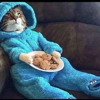 Profile Picture of Tom Retzlaff (@retzlaff_tom) on Twitter