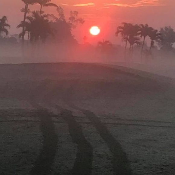 Mauro Hernandez - Poshmark Profile Picture of Mauro Hernandez (@maurohernand249) on Poshmark