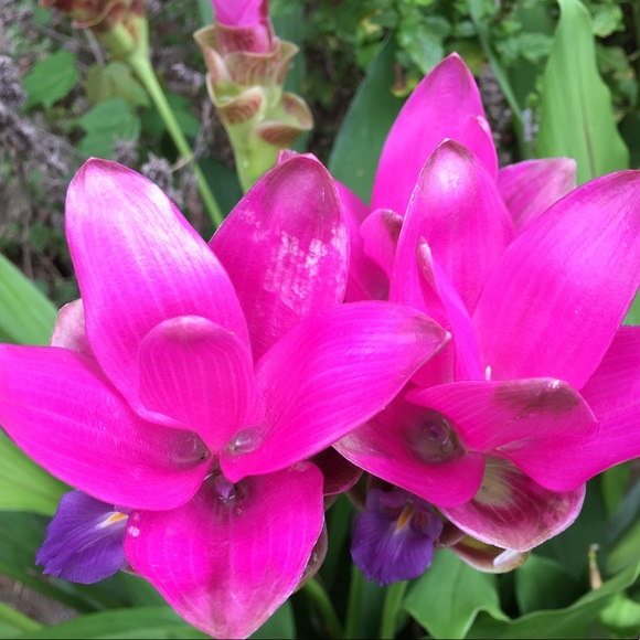 Robyne Fillmore - Poshmark Profile Picture of Robyne Fillmore (@itsallgood916) on Poshmark