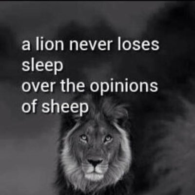 Profile Picture of Nick Costanzo (@ncostanzo10) on Twitter