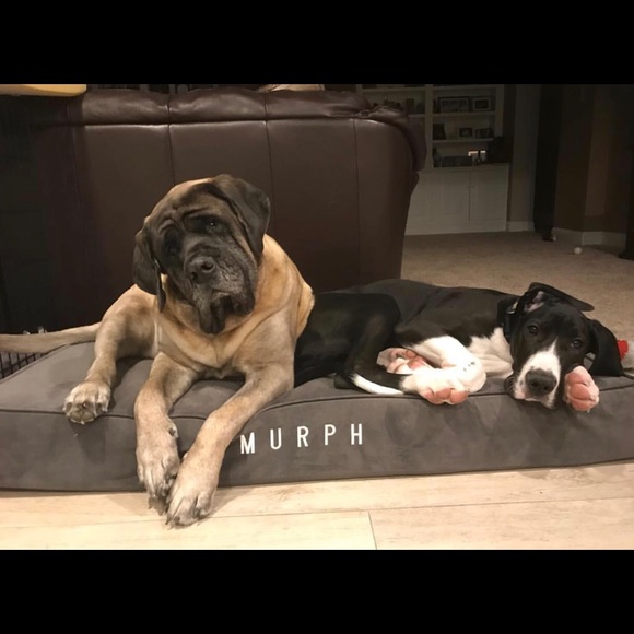 Profile Picture of Adam Jennings (@adamjennings33_) on Poshmark