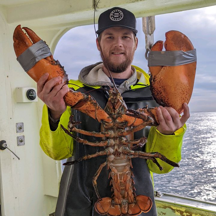 Profile Picture of Mark MacInnis (@markmacinnis) on Tiktok