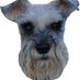 Profile Picture of Heidi Joe (@HeidinJoe) on Twitter
