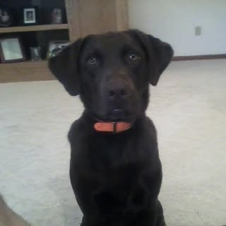 Profile Picture of Brad Bakken (@brad.bakken) on Instagram