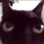 Profile Picture of ITZ_NOT_KEVIN (@itz_not_kevin) on Instagram