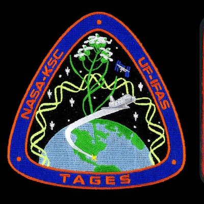 Profile Picture of UF Space Plants (@UF_Space_Plants) on Twitter