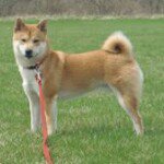 Profile Picture of Kelly Fifer (@kellyfifer) on Instagram