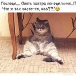 Profile Picture of марк (@stosserega) on Instagram