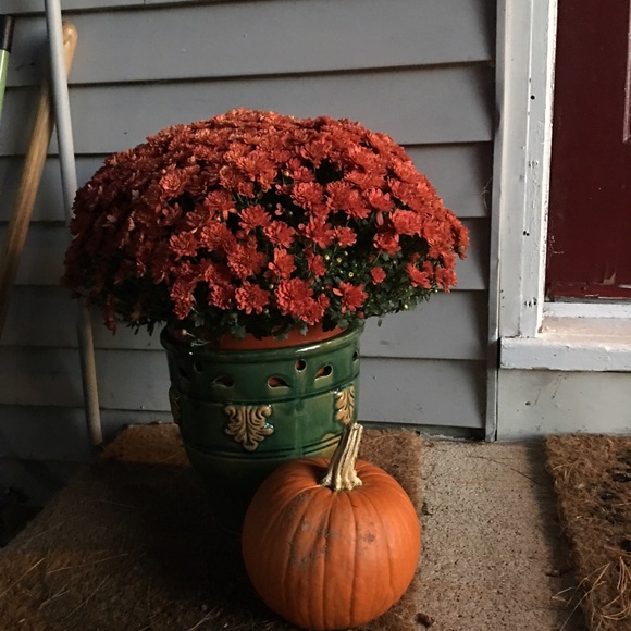 Profile Picture of Elizabeth Toolan (@toolane) on Poshmark