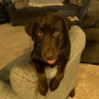 Profile Picture of Sheri Prince Muller (@sheri-prince-muller) on Quora