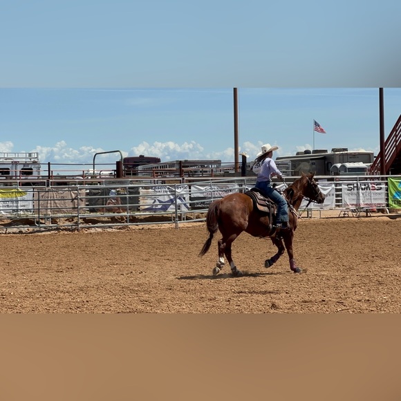 Profile Picture of Brayden Bacchi (@stawbarry) on Poshmark