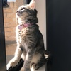 Profile Picture of ✨💕 Hazel 💕✨ (@@hazel.the.pretzel) on Tiktok