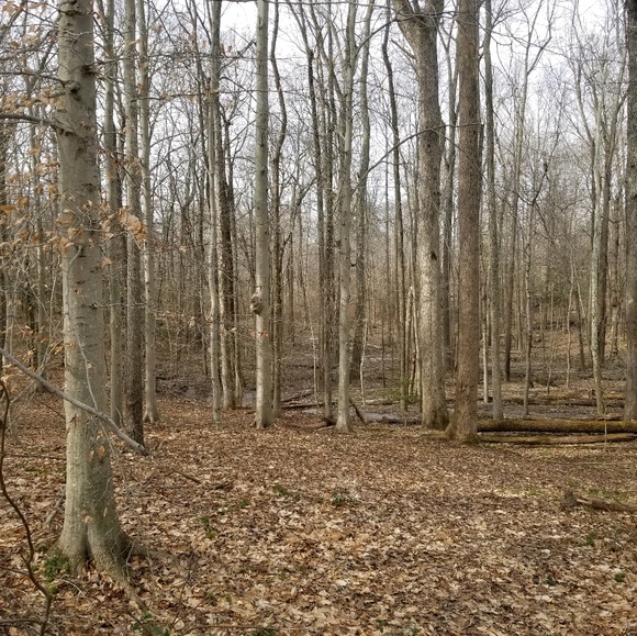 Profile Picture of Christopher Browning (@caelyth) on Poshmark