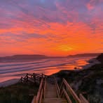 Profile Picture of Joyce Holmes (@joyce.holmes.5245) on Facebook