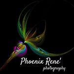 Profile Picture of Whitley Foster (@phoenixrenephoto) on Instagram