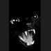 Profile Picture of Steve Birkett (@steve.birkett.714) on Facebook