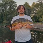 Profile Picture of Michael Odell (@michael.odell.5437) on Facebook