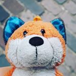 Profile Picture of Eddie (@eddie_der_fuchs) on Instagram