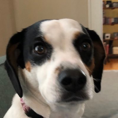 Profile Picture of Aaron Lundholm (@@aalundholm) on Twitter