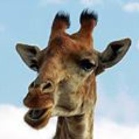 Profile Picture of Rabid Palid (@rabid-palid) on Quora