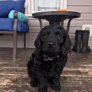 Profile Picture of Marcel Dinelle (@marcel.dinelle) on Facebook