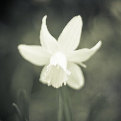 Profile Picture of Cecelia B. Perez (@ce_she_pretty) on Twitter
