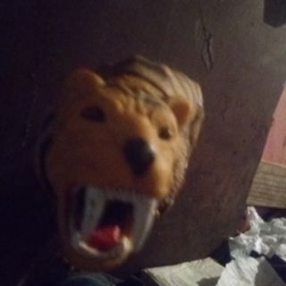 Profile Picture of Joel Silverio (@joel.silverio.54943) on Facebook