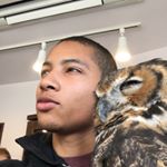 Profile Picture of Marcus Dowden (@blackjap21) on Instagram