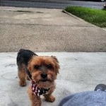 Profile Picture of Jeremy Talmadge (@mricererse) on Instagram