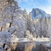 Profile Picture of Peter Keenan (@PeterKeenan-ol5pr) on Youtube