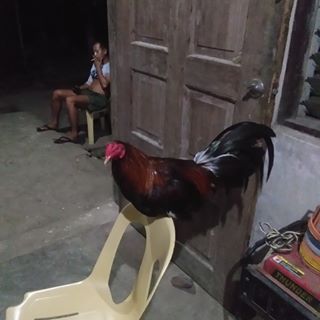 Kenneth Fajardo - Facebook Profile Picture of Kenneth Fajardo (@kenneth.fajardo.7739) on Facebook