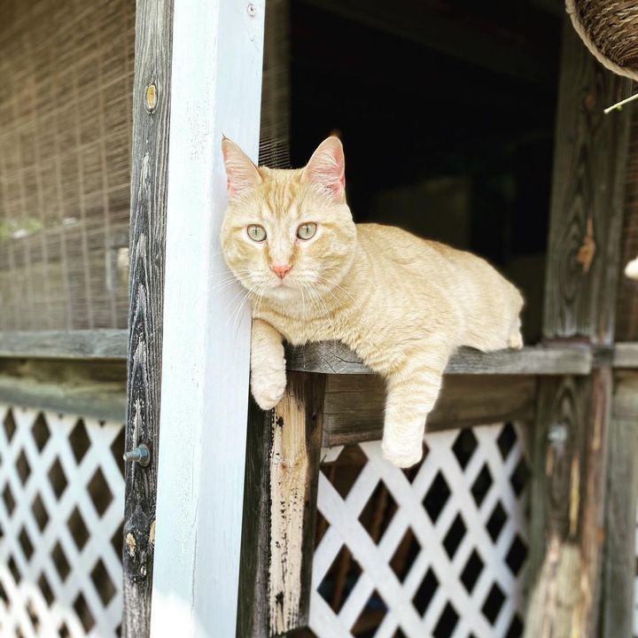 Kelsey Kellogg - Tiktok Profile Picture of Kelsey Kellogg (@kelseykellogg1) on Tiktok