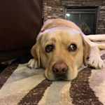 Profile Picture of Kim (@kimhuebner81) on Instagram