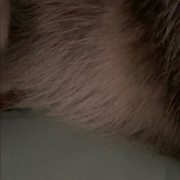 Profile Picture of Valerie Attalah (@valerie_attalah) on Poshmark