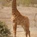 Profile Picture of craig huxtable (@craighuxtable) on Pinterest